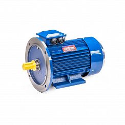 Электродвигатель 5АИ 100 S4 3/1500 IM2081