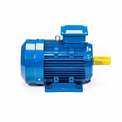 Электродвигатель 5АИ 160 М4 18,5/1500 IM1001