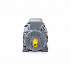 Электродвигатель ESQ PR 132 M2 GST-Б1-S12-IE2 11/3000 IM1081