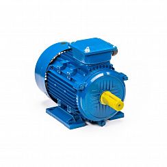 Электродвигатель 5АИ 160 М4 18,5/1500 IM1001