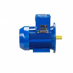 Электродвигатель АИМУ 100 L2 У1, 380В, 1ExdIIBT4 Gb, 5,5/3000 IM2081