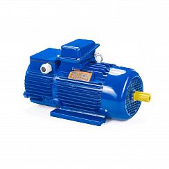 Электродвигатель 5МТН 225 L8 37/750 IM1003