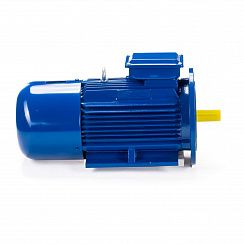 Эл.двигатель 5АИ 100 L8 ET 1.5/750  IM 2081