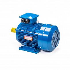 Электродвигатель 5АИ 112 М2 7,6/3000 IM1081