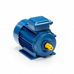 Электродвигатель 5АИ 63 А4 0,25/1500 IM1081