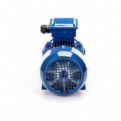 Электродвигатель 5АИ 90 L6 1,5/1000 IM1081