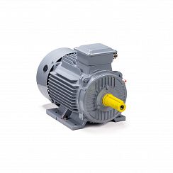 Электродвигатель ESQ PR 132 M2 GST-Б1-S12-IE2 11/3000 IM1081