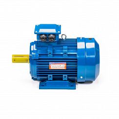 Электродвигатель 5АИ 100 L6 2,2/1000 IM1081