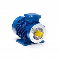 Электродвигатель ESQ 80 B4-SDN- 0,75/1500 IMB34