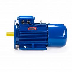 Эл.двигатель 5АИ 100 L8 ET 1.5/750  IM 2081