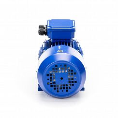 Электродвигатель 5АИ 80 В2 2,2/3000 IM1081