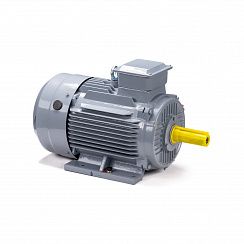 Электродвигатель ESQ PR 132 M2 GST-Б1-S12-IE2 11/3000 IM1081
