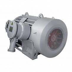 Эл.двигатель ВАО7А 450 М4 УХЛ1 PBExdI Mb 6000В IP54  250/1500  IM 1001