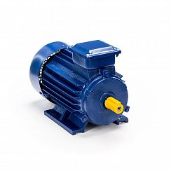 Электродвигатель 5АИ 90 L2 3/3000 IM1081