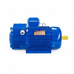 Электродвигатель 5МТН 225 L8 37/750 IM1003