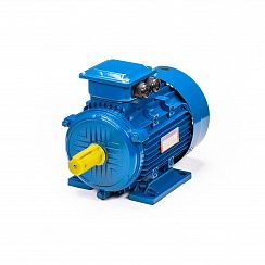 Электродвигатель 5АИ 100 L6 2,2/1000 IM1081