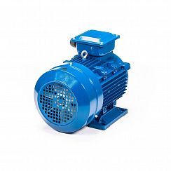 Электродвигатель 5АИ 160 М4 18,5/1500 IM1001