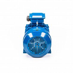 Электродвигатель 5АИ 160 М4 18,5/1500 IM1001